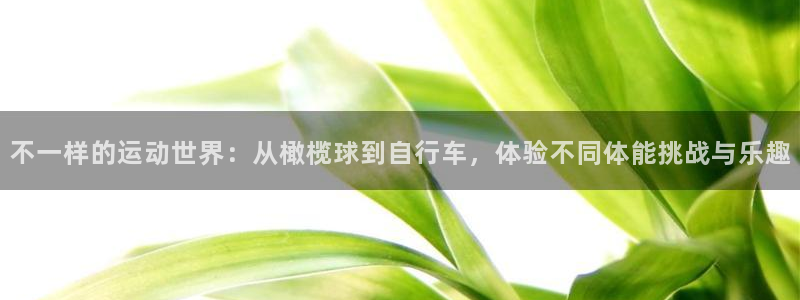 意昂3体育网页版入口：不一样的运动世界：从橄榄球到自行车，体验不同体能挑战与乐趣