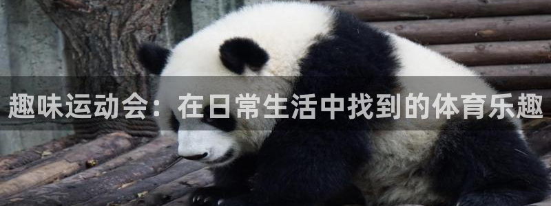意昂3kgame：趣味运动会：在日常生活中找到的体育乐趣