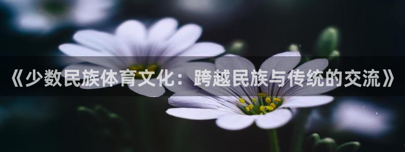 意昂3体育平台开号链接：《少数民族体育文化：跨越民族与传统的交流》