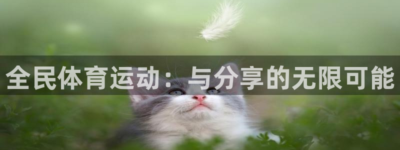 上海意昂3汽车电子有限公司：全民体育运动：与分享的无限可能