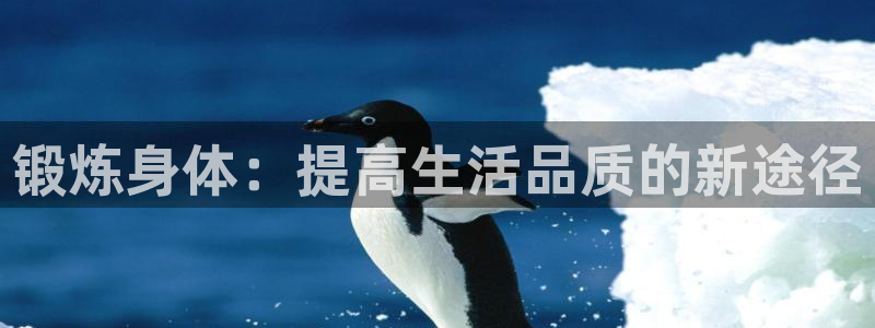 意昂3体育：锻炼身体：提高生活品质的新途径