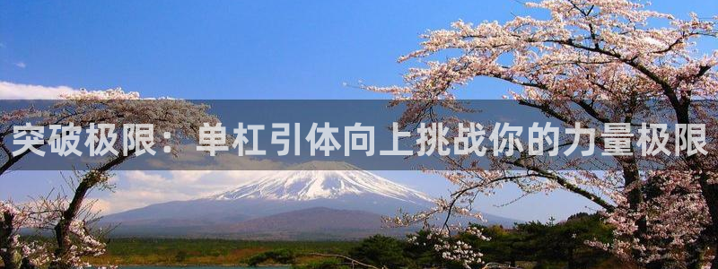 意昂3是啥平台：突破极限：单杠引体向上挑战你的力量极限