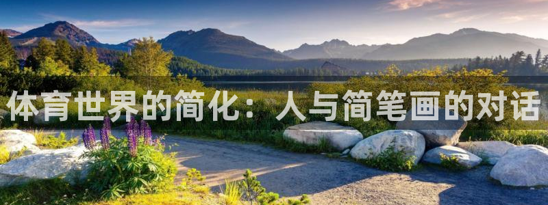 意昂3官网：体育世界的简化：人与简笔画的对话