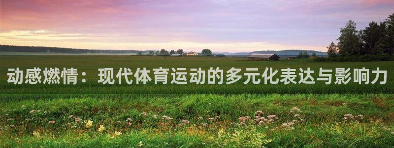 意昂3官网入口：动感燃情：现代体育运动的多元化表达与影响力