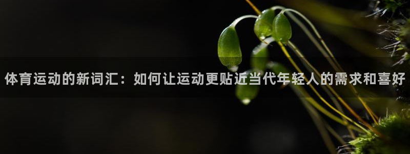 德国意昂3集团：体育运动的新词汇：如何让运动更贴近当代年轻人的需求和喜好