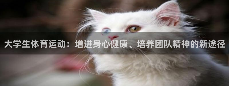 意昂3凯捷开号链接：大学生体育运动：增进身心健康、培养团队精神的新途径