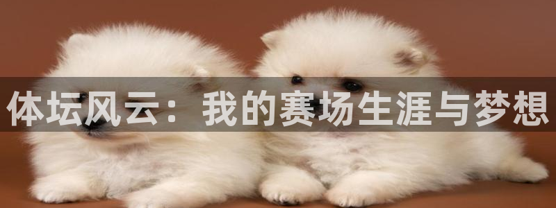意昂3kgame：体坛风云：我的赛场生涯与梦想