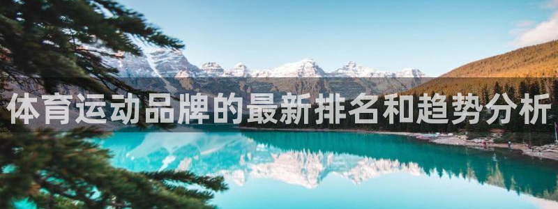 www.意昂3体育.com：体育运动品牌的最新排名和趋势分析