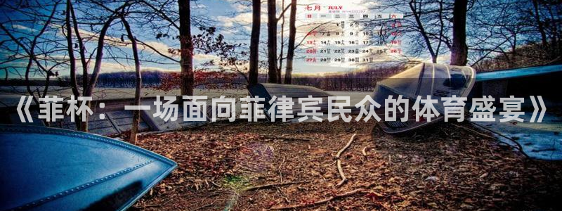 意昂3体育注册：《菲杯：一场面向菲律宾民众的体育盛宴》