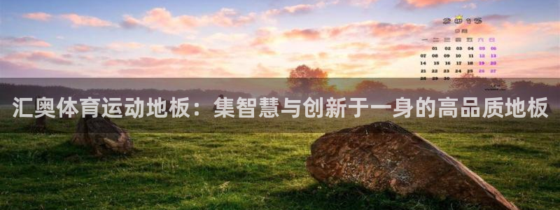 意昂3体育代理申请流程：汇奥体育运动地板：集智慧与创新于一身的高品质地板