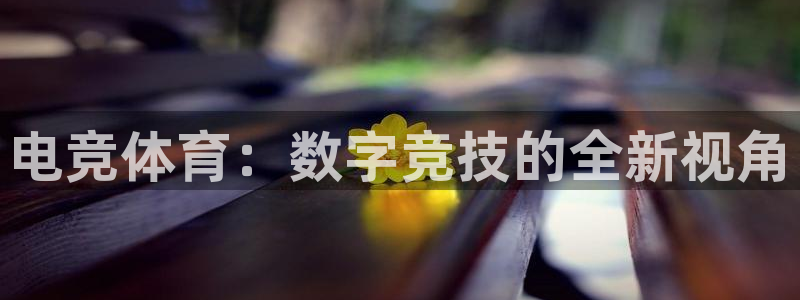 意昂3登录：电竞体育：数字竞技的全新视角