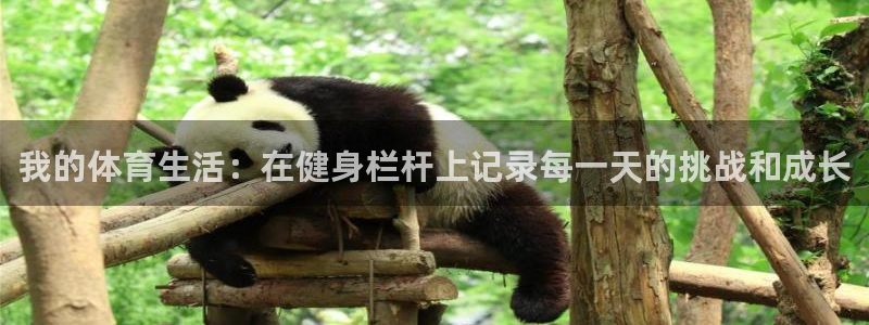 意昂3平台：我的体育生活：在健身栏杆上记录每一天的挑战和成长