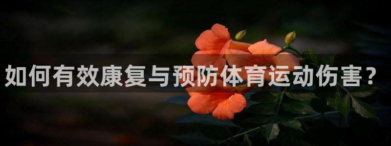 福建意昂3机电股份公司：如何有效康复与预防体育运动伤害？