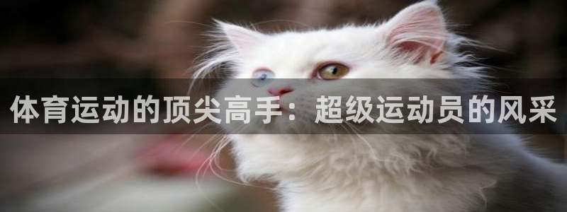 意昂3体育2：体育运动的顶尖高手：超级运动员的风采