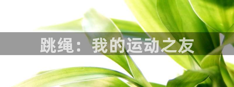 意昂3体育：跳绳：我的运动之友