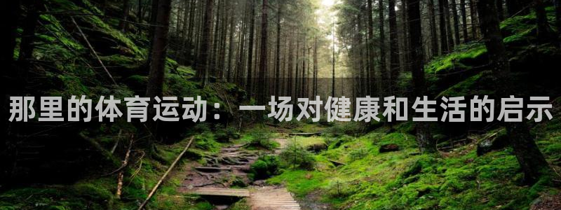 意昂3平台开户链接：那里的体育运动：一场对健康和生活的启示