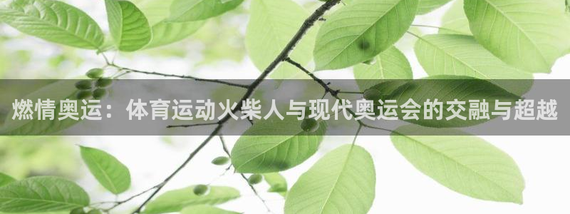 意昂34登录：燃情奥运：体育运动火柴人与现代奥运会的交融与超越