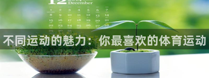 意昂3凯捷平台注册链接：不同运动的魅力：你最喜欢的体育运动