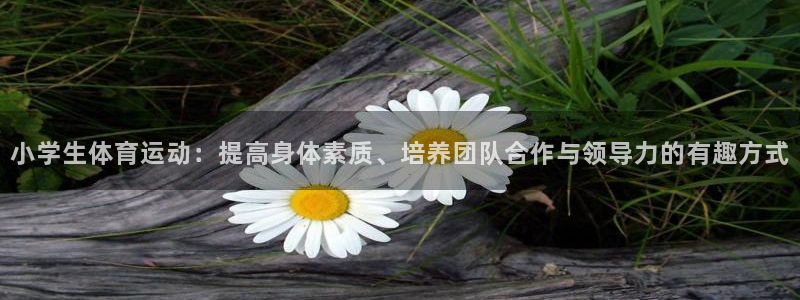 意昂32平台登录：小学生体育运动：提高身体素质、培养团队合作与领导力的有趣方式