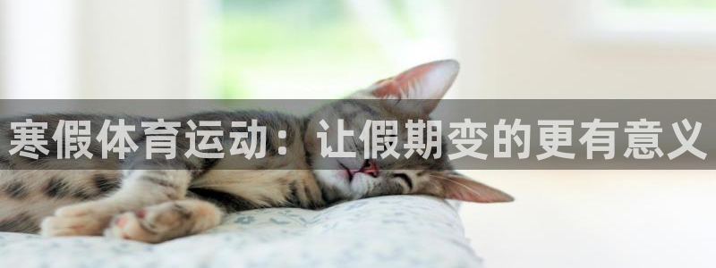 意昂3体育官网