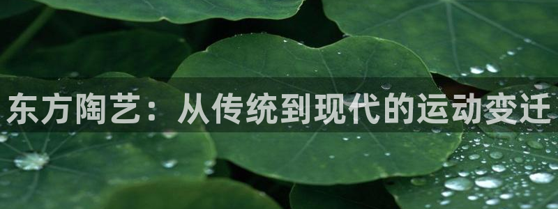 意昂3集团官网：东方陶艺：从传统到现代的运动变迁