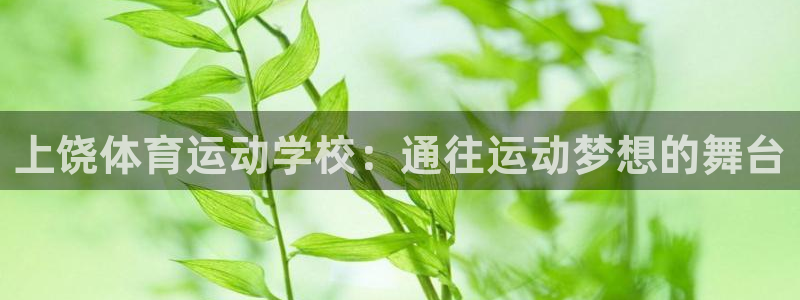 意昂3体育凯捷平台代理：上饶体育运动学校：通往运动梦想的舞台
