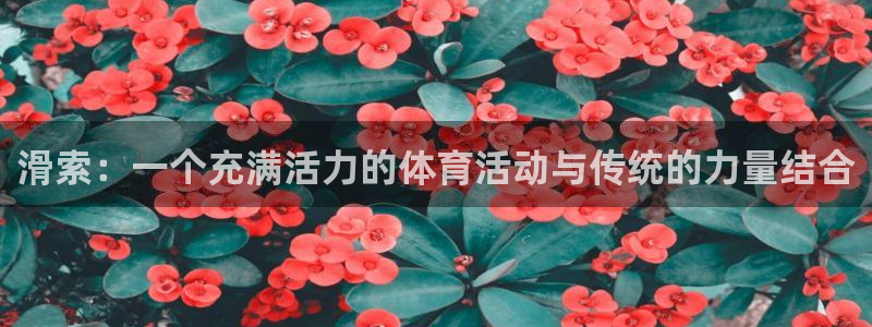 意昂3体育平台开号链接：滑索：一个充满活力的体育活动与传统的力量结合