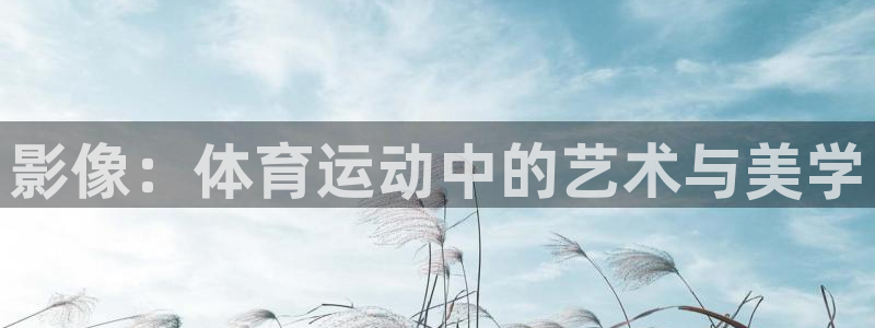意昂32平台登录：影像：体育运动中的艺术与美学