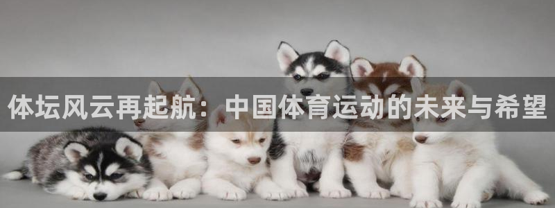 意昂3体育凯捷平台招商：体坛风云再起航：中国体育运动的未来与希望