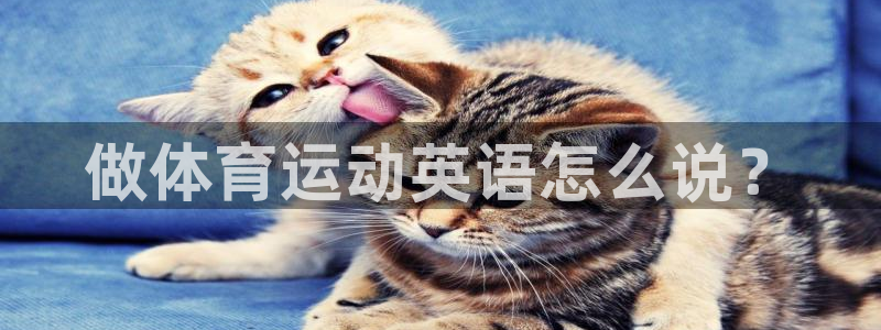 意昂3：做体育运动英语怎么说？