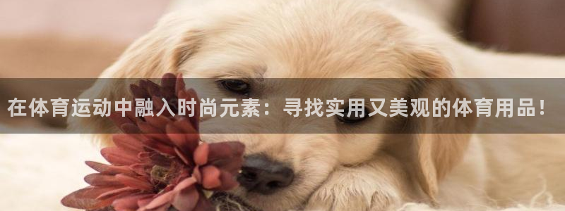 意昂3主管：在体育运动中融入时尚元素：寻找实用又美观的体育用品！