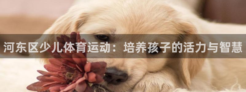 意昂3体育2官网入口：河东区少儿体育运动：培养孩子的活力与智慧