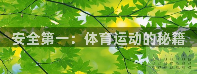 意昂3官网：安全第一：体育运动的秘籍