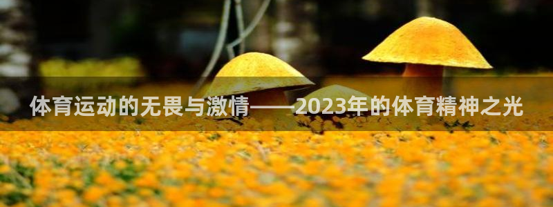 意昂3体育f开户：体育运动的无畏与激情——2023年的体育精神之光
