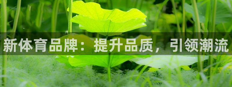 意昂3体育2：新体育品牌：提升品质，引领潮流